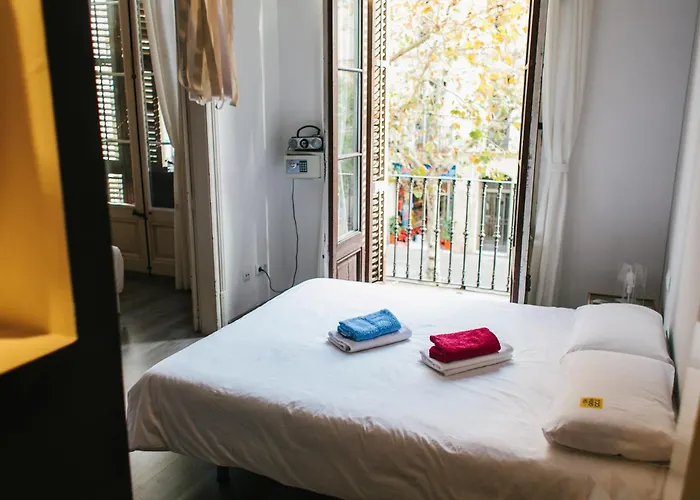 Gasthuis Zoorooms Boutique 4*